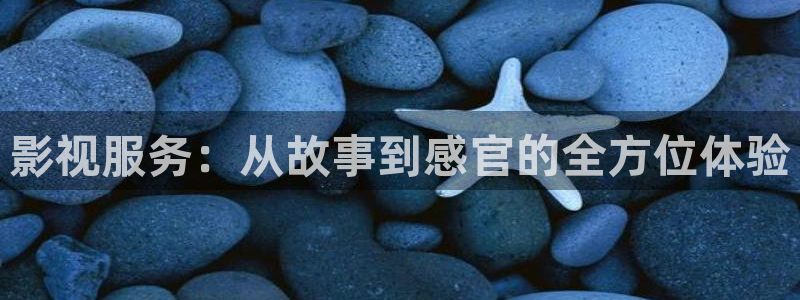 名侦探学院第九季在线播放免费观看：影视服务：从故事到感官的全方位体验