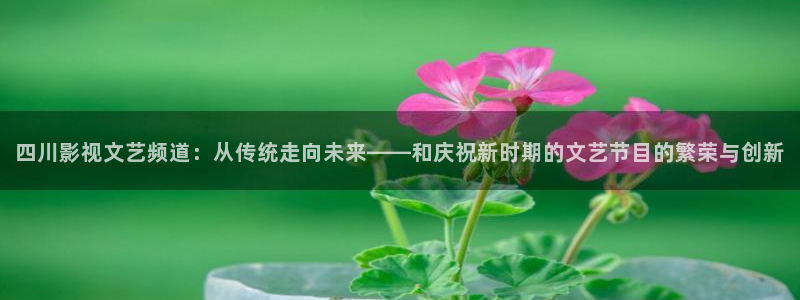 第九在线电影：四川影视文艺频道：从传统走向未来——和庆祝新时期的文艺节目的繁荣与创新