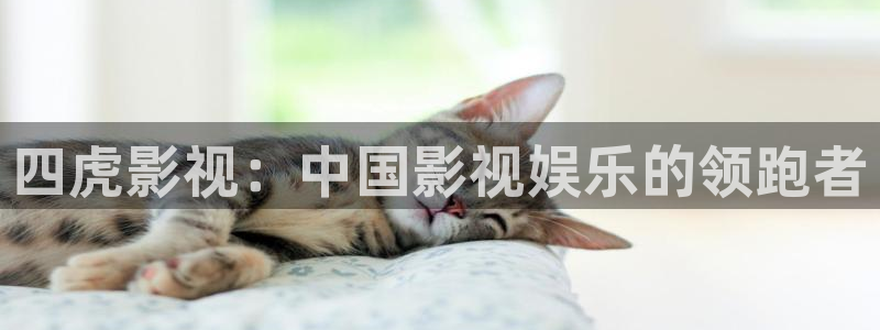 神马第九哒哒兔影院：四虎影视：中国影视娱乐的领跑者