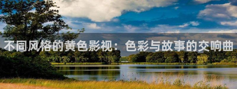 第九影院免费：不同风格的黄色影视：色彩与故事的交响曲