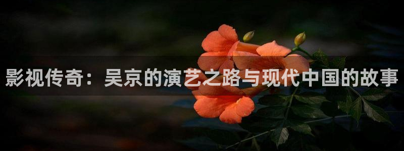 第九电影院神马：影视传奇：吴京的演艺之路与现代中国的故事