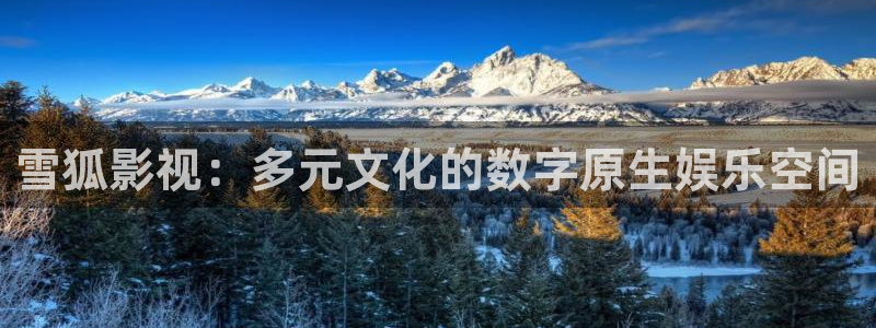 第九剧场：雪狐影视：多元文化的数字原生娱乐空间