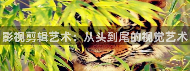 第九超神达达兔影院：影视剪辑艺术：从头到尾的视觉艺术