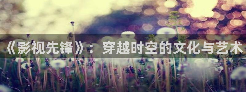 第九电影院看电影免费吗：《影视先锋》：穿越时空的文化与艺术