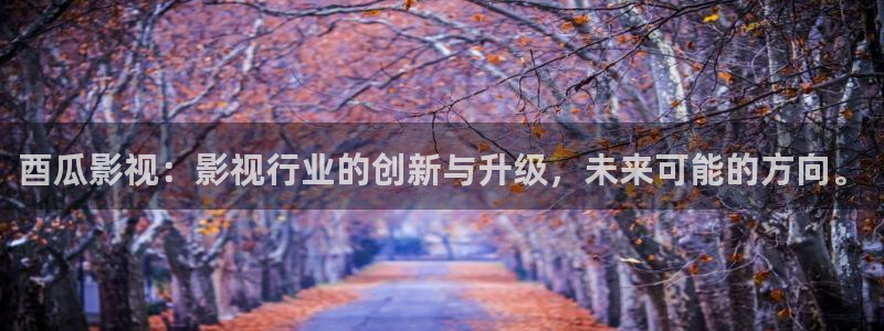 第九超神影院达达兔笫九影院：酉瓜影视：影视行业的创新与升级，未来可能的方向。